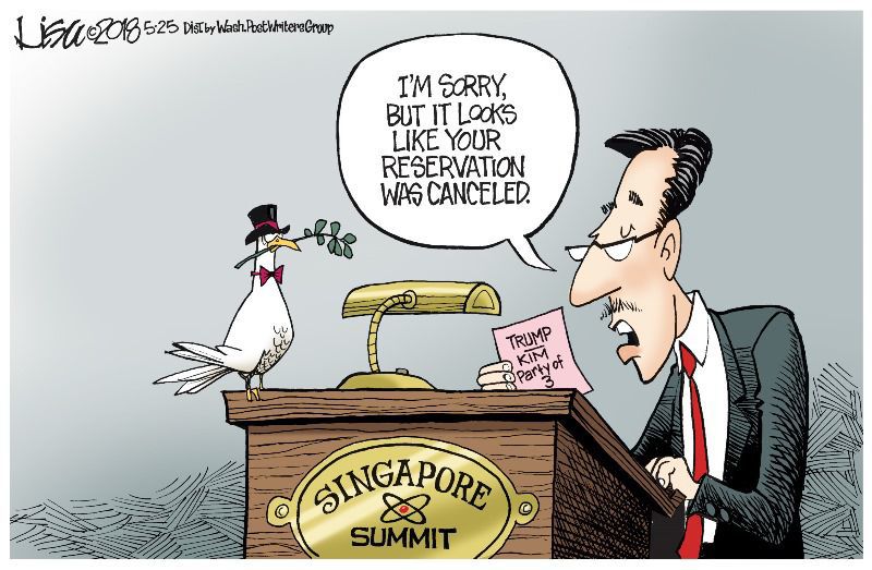 Lisa Benson cartoon